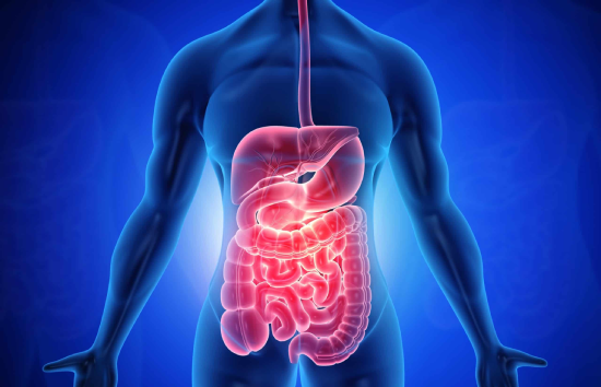 طب أمراض الجهاز الهضمي